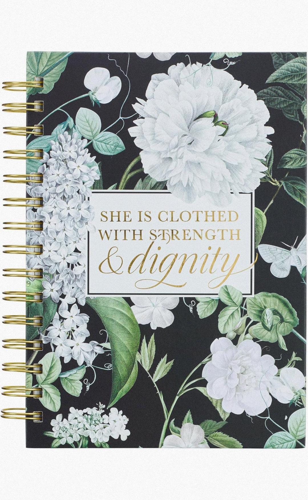 Diario (She is Clothed With Strenght and Dignity)