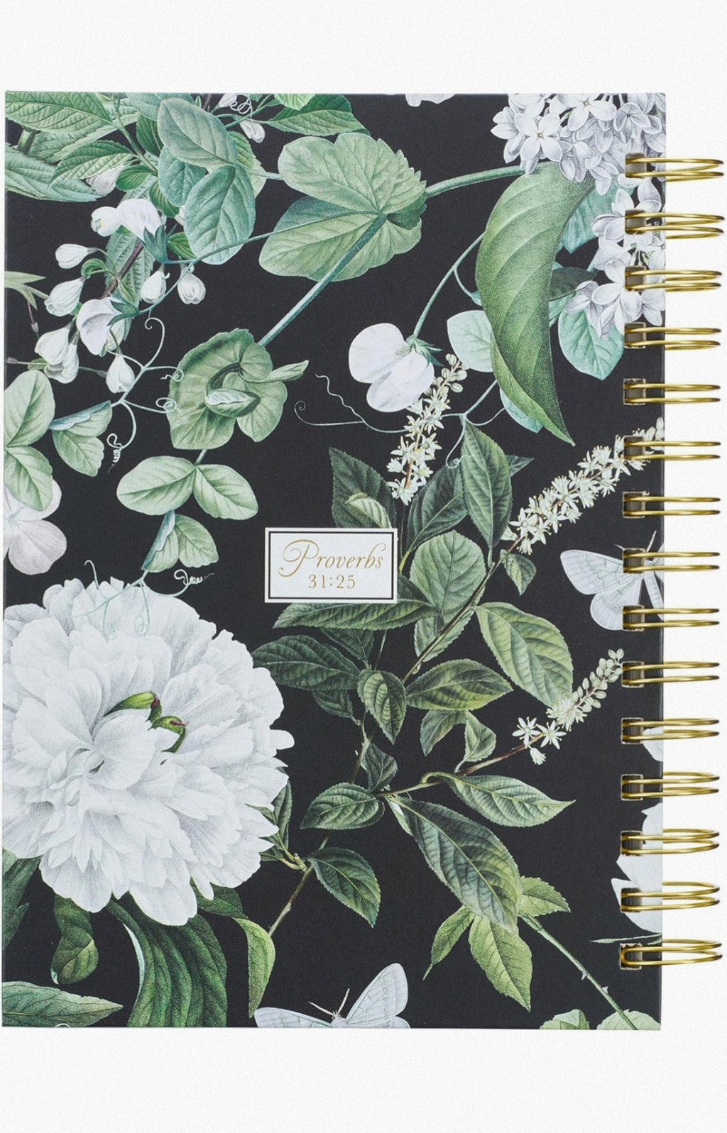 Diario (She Is Clothed With Strenght and Dignity)