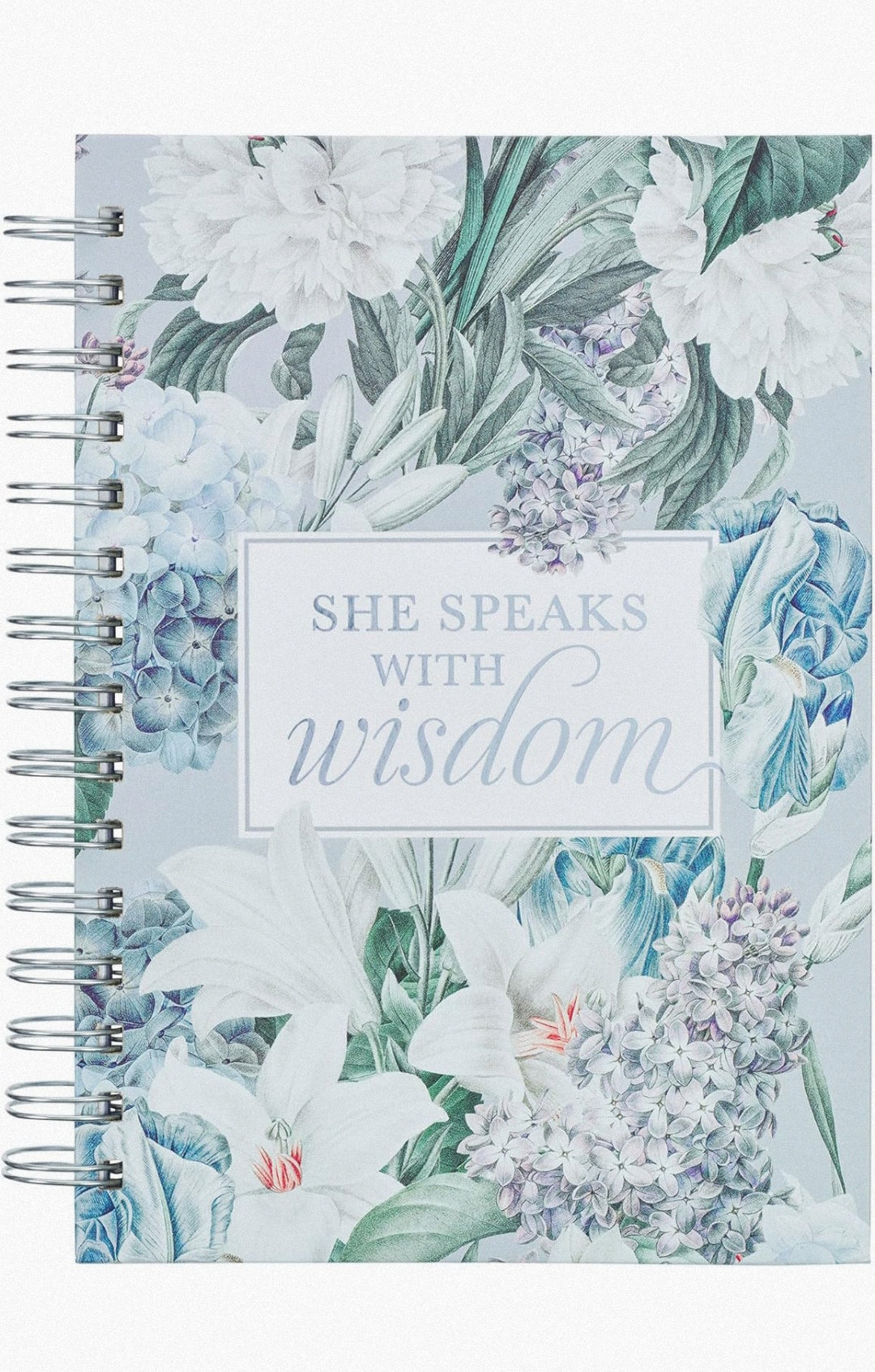 Diario (She Speaks With Wisdom)