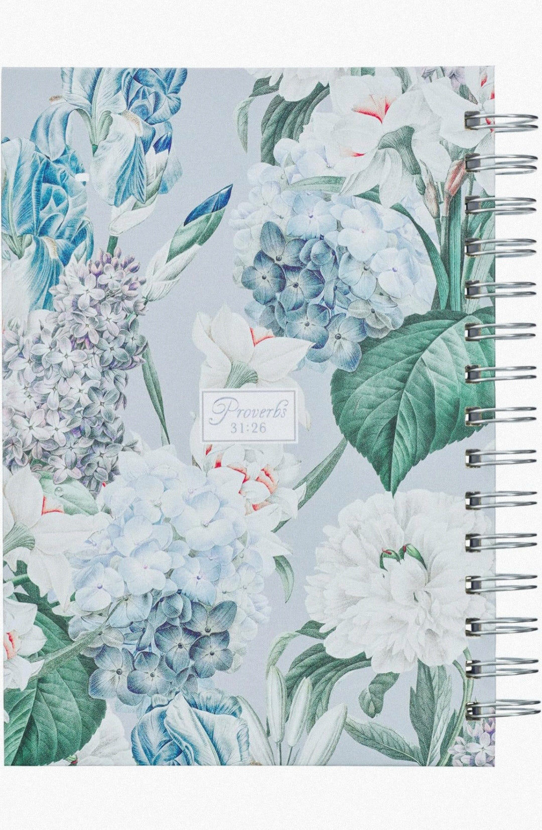 Diario (She Speaks With Wisdom)