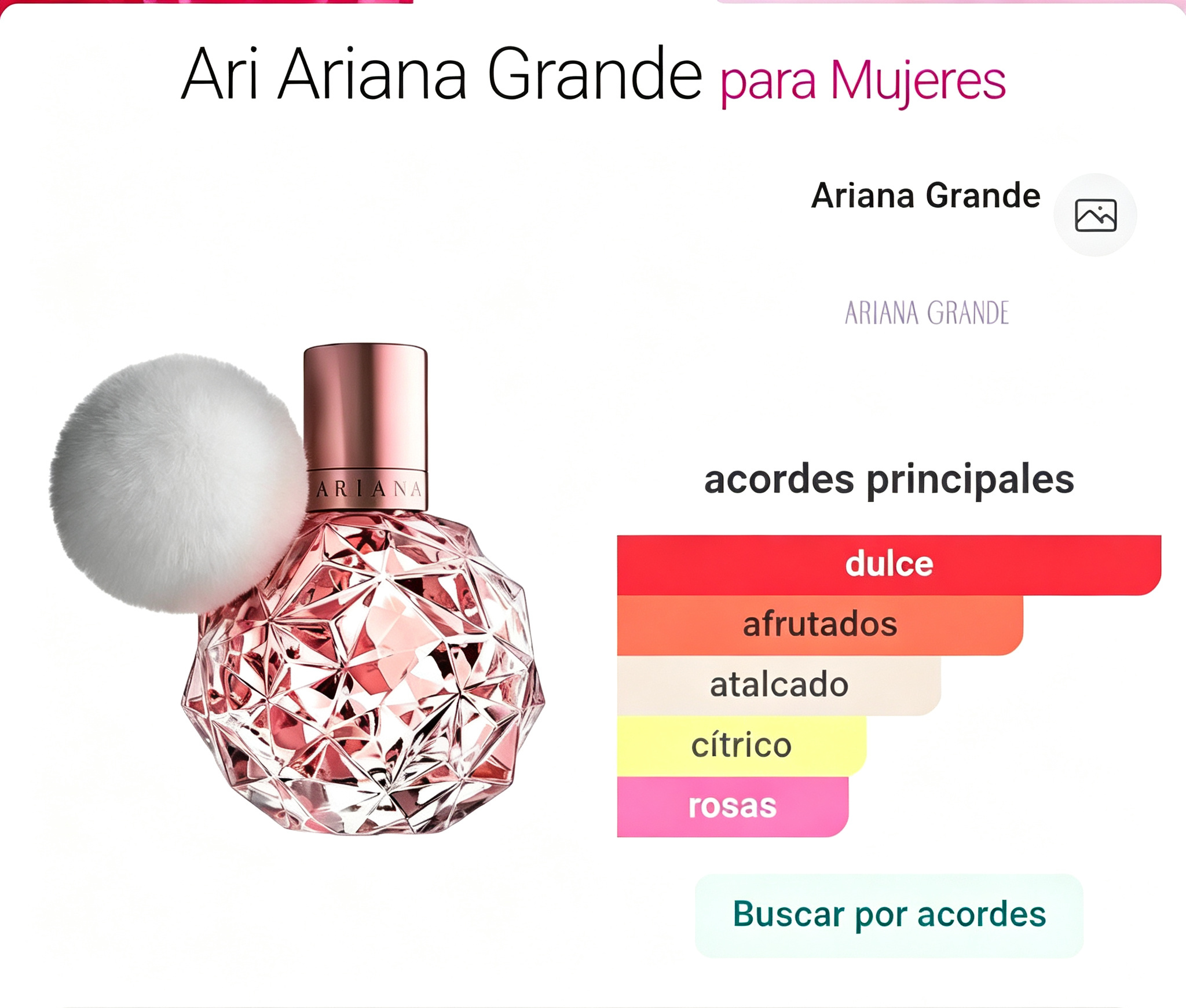 Perfume Ari Ariana Grande EDP 100ml